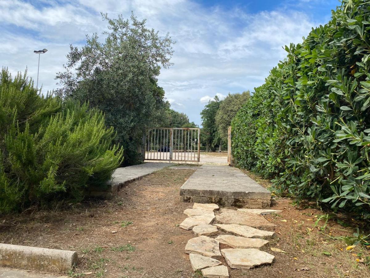 ביוגראד נה מורו Apartment Soline מראה חיצוני תמונה